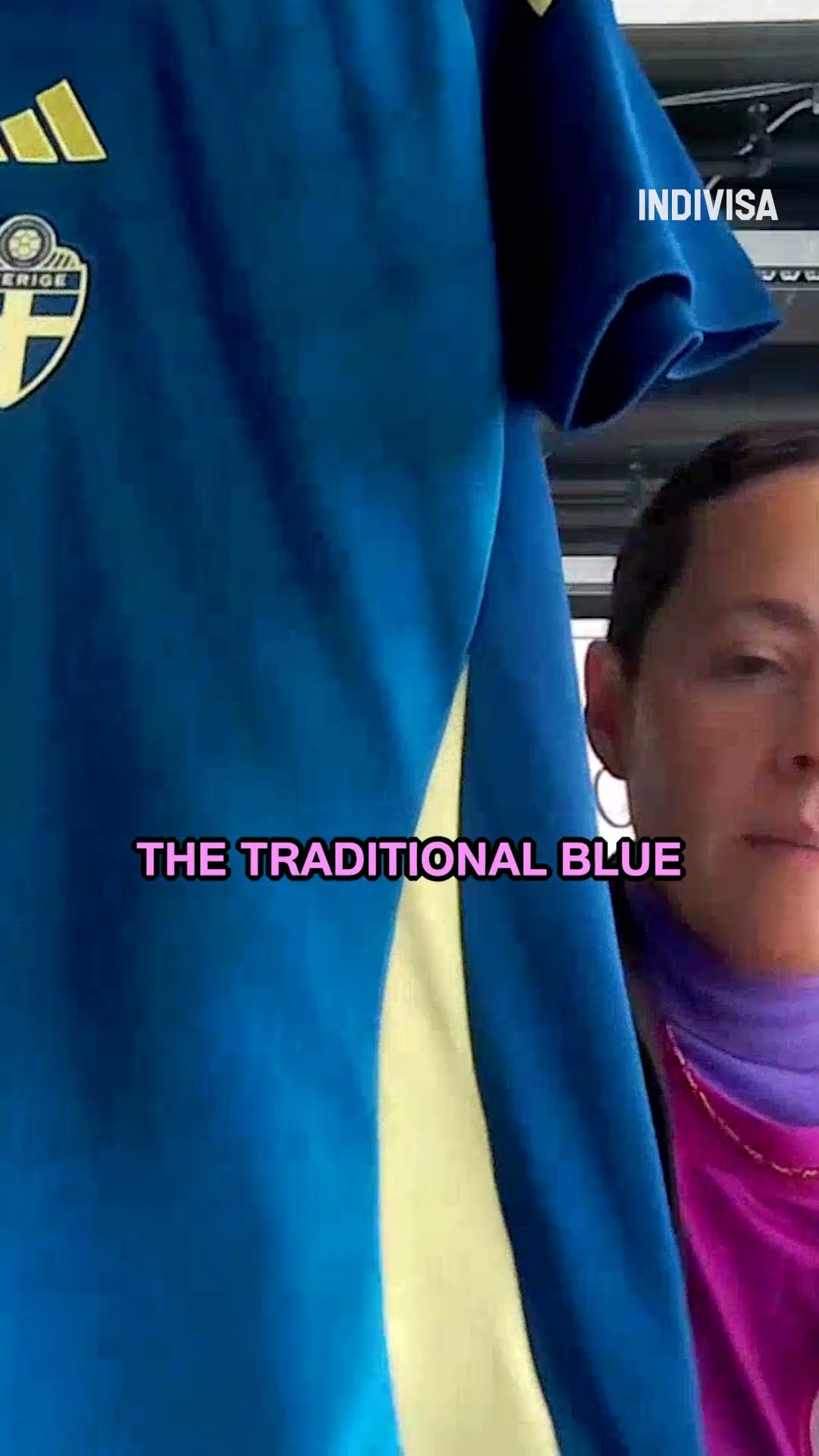 伊布拉希莫維奇什麼水平.